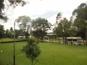 Hotel dan Taman